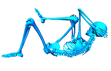 esqueleto ejercicio