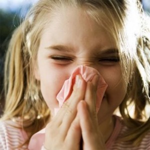 combatir la bronquitis